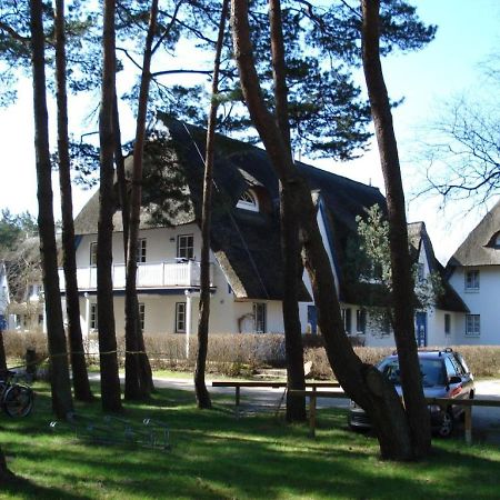Zingst Achtern Diek 12D Elly Экстерьер фото