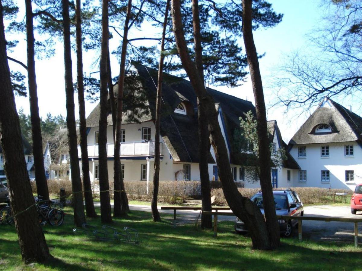 Zingst Achtern Diek 12D Elly Экстерьер фото