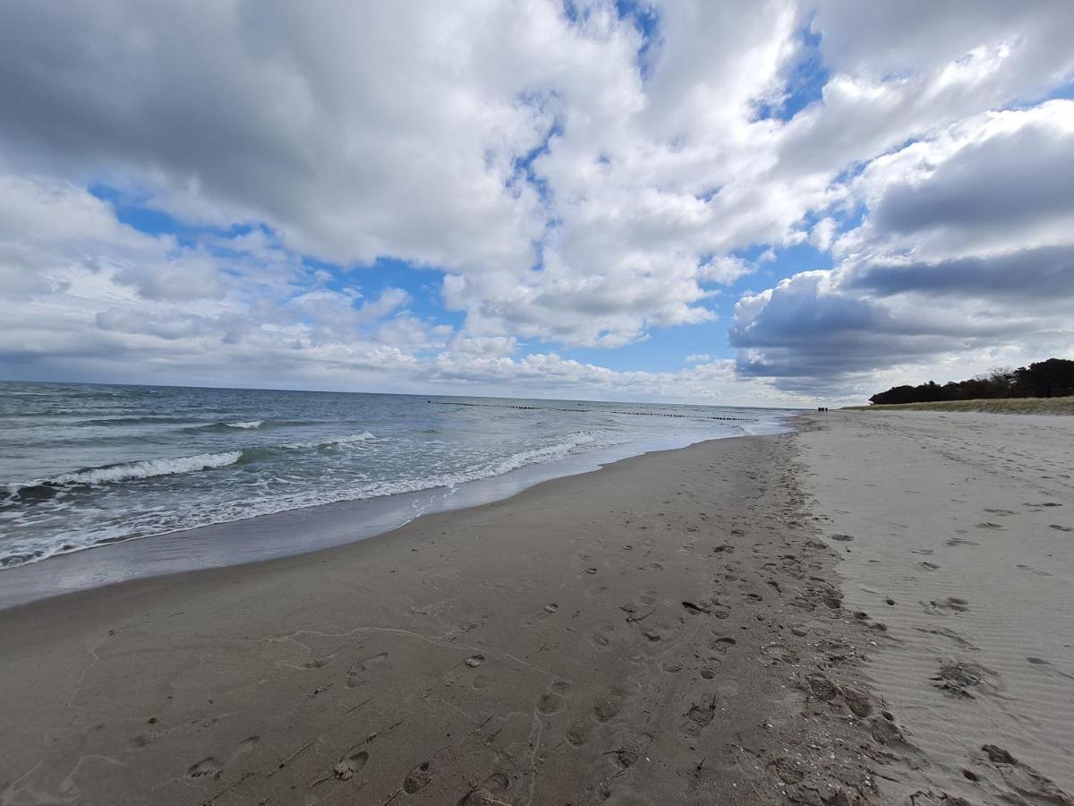 Zingst Achtern Diek 12D Elly Экстерьер фото