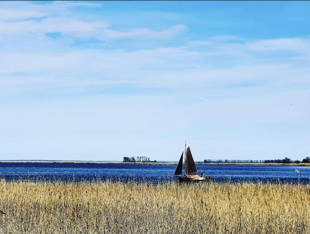 Zingst Achtern Diek 12D Elly Экстерьер фото
