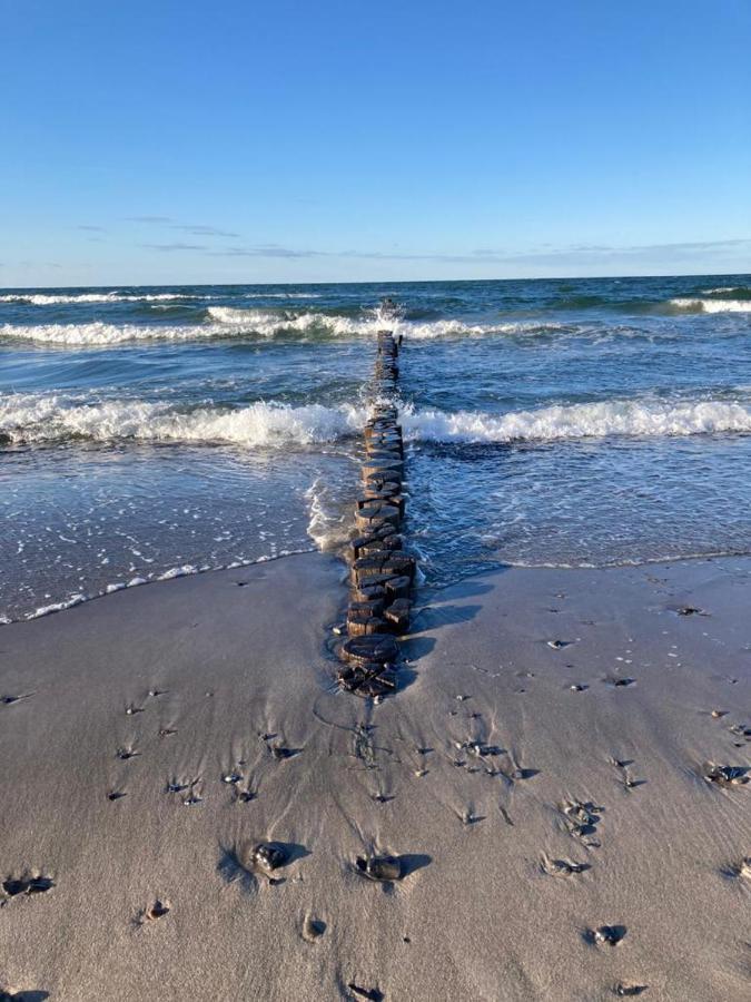 Zingst Achtern Diek 12D Elly Экстерьер фото