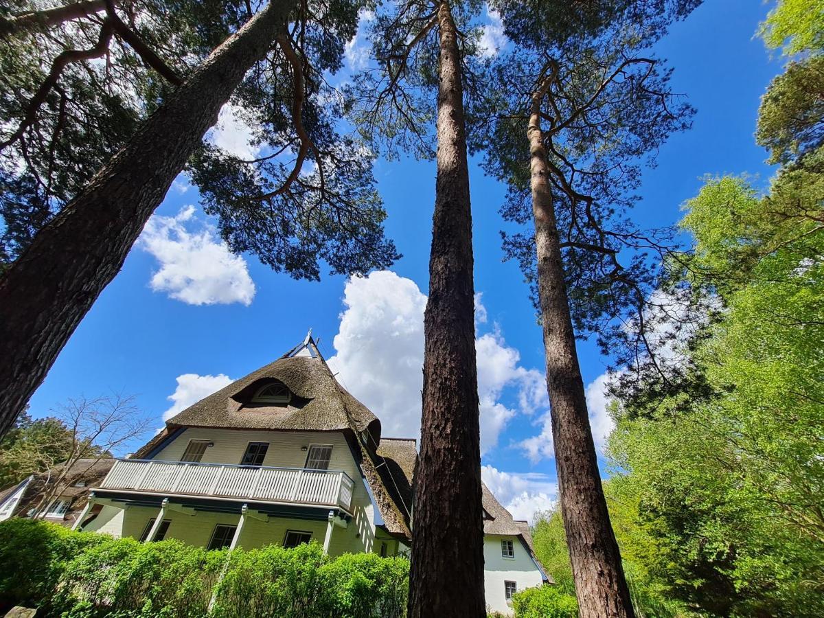 Zingst Achtern Diek 12D Elly Экстерьер фото